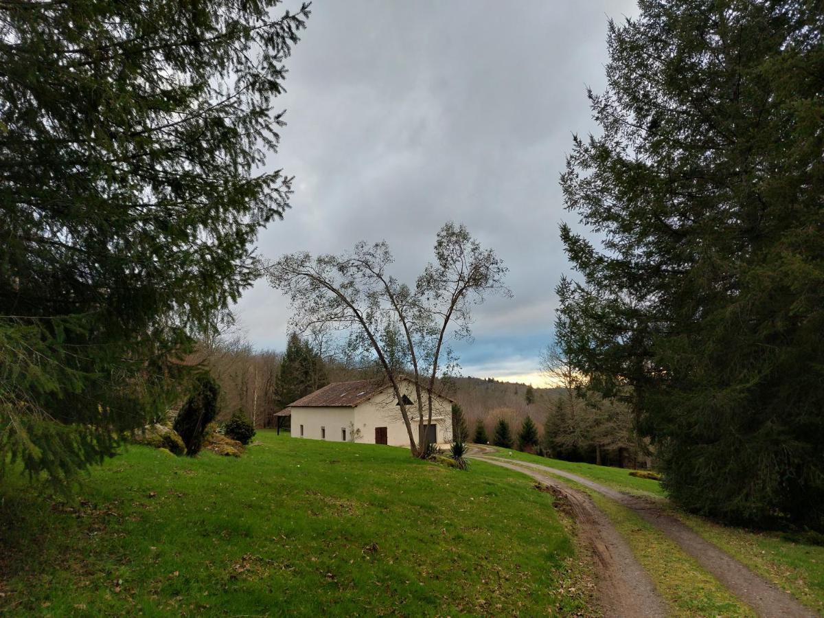 "Le Petit Bonheur" Gite Van 4 Tot 12 Personen Met Prive Vijver Van 2Ha Maisonnais-Sur-Tardoire Zewnętrze zdjęcie