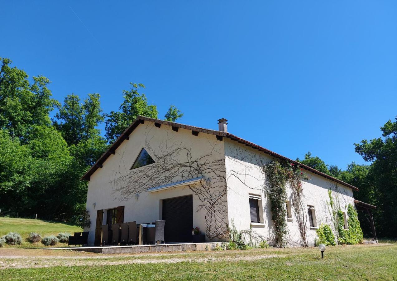 "Le Petit Bonheur" Gite Van 4 Tot 12 Personen Met Prive Vijver Van 2Ha Maisonnais-Sur-Tardoire Zewnętrze zdjęcie
